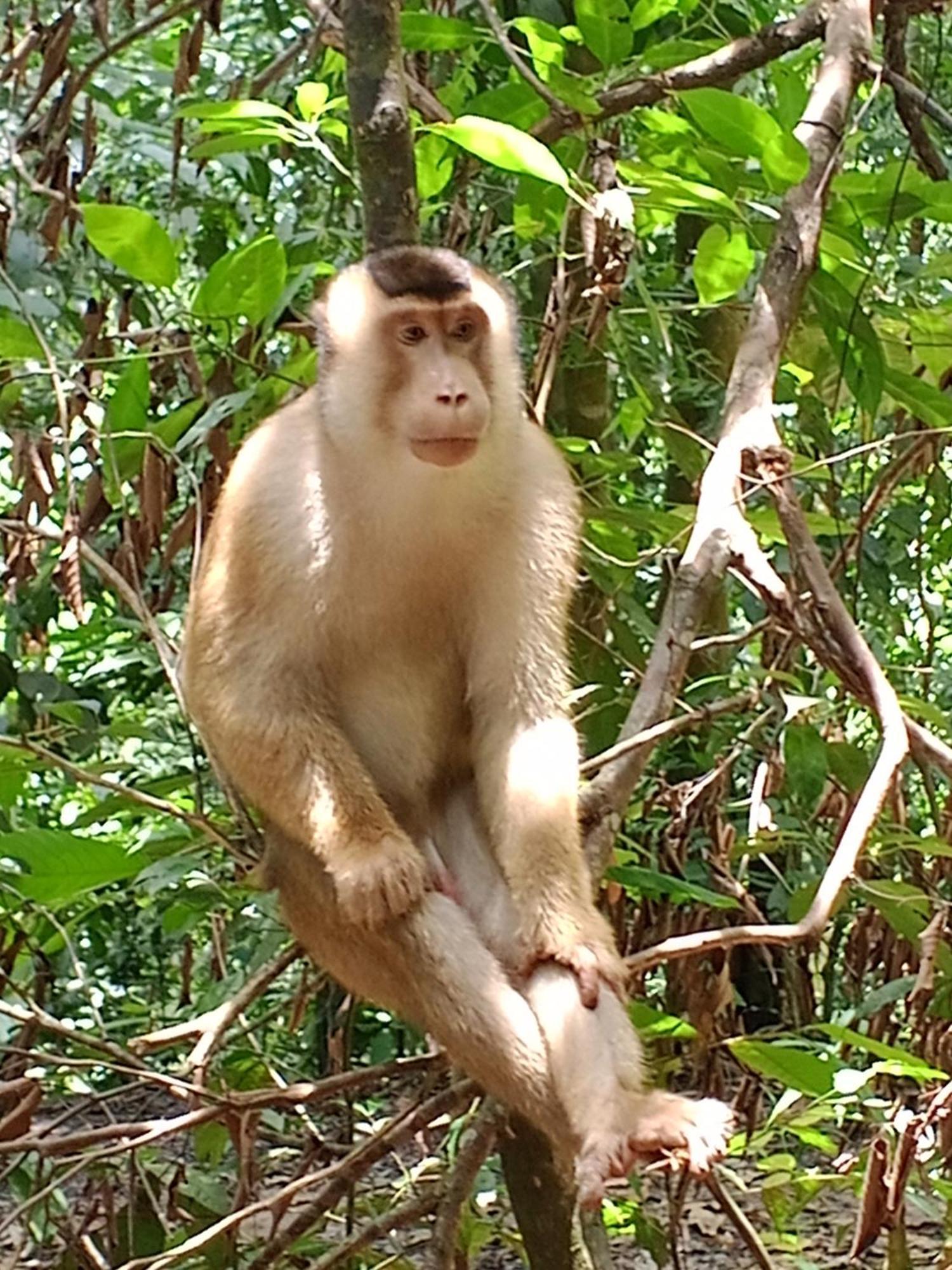 Sama Sama Homestay & Trekking Only Stay Here Book Trekking And Transport With Us 武吉拉旺 外观 照片