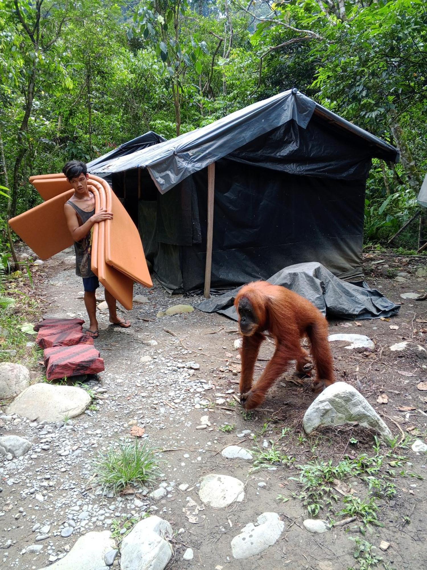 Sama Sama Homestay & Trekking Only Stay Here Book Trekking And Transport With Us 武吉拉旺 外观 照片